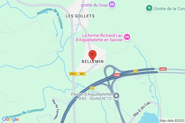 Bellemin Jean Paul