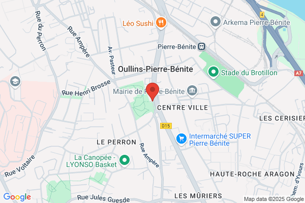 Caisse D Epargne Et Prevoyance Rhone Alpes lyon cepral
