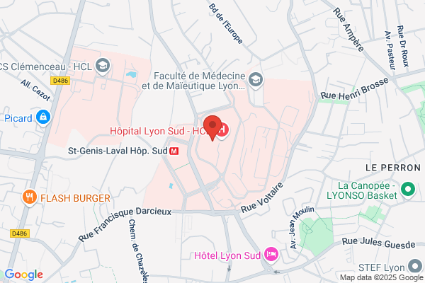 Centre Hospitalier Lyon Sud Service De Gynecologie obstetriq