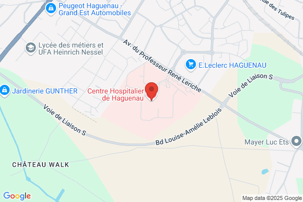 Centre Hospitalier Lyon Sud Services De Medecine pediatrie D