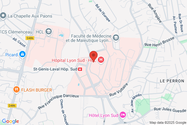 Centre Hospitalier Lyon Sud Services Des Urgences medecine L