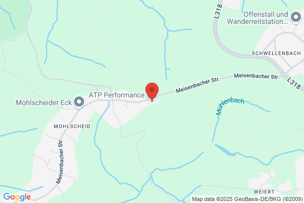 Atp Mini Service