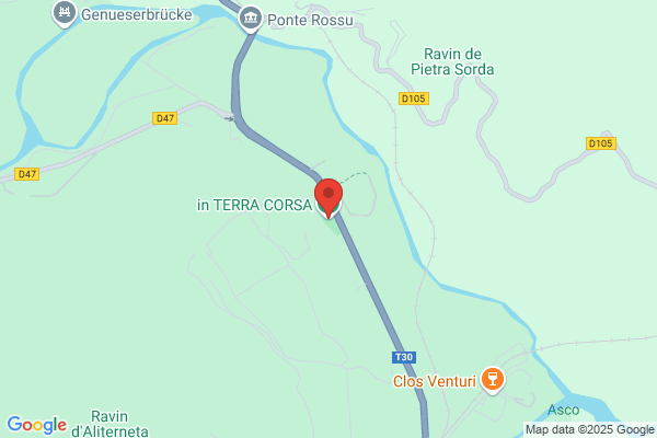 in TERRA CORSA