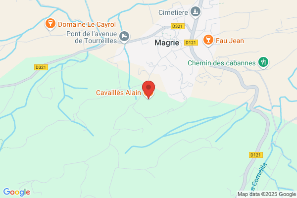 Cavailles Eric