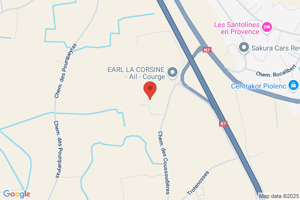 Arausio Services