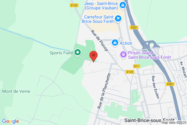 Aaesb Amicale Anciens Eleves Saint Brice Pelote Basque