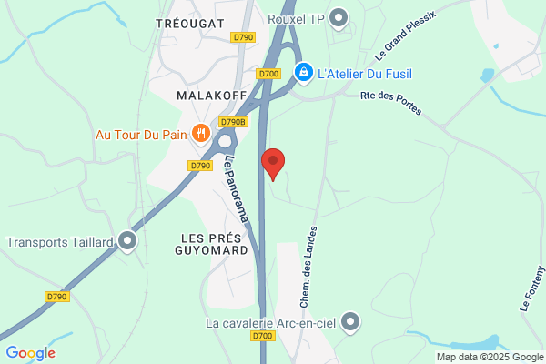 Brillault Thierry