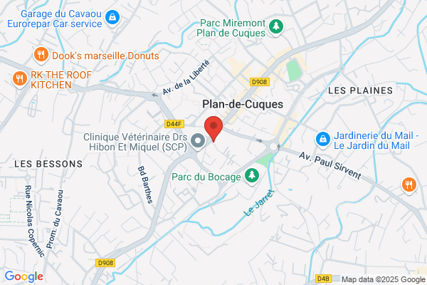 MAAF Assurances PLAN DE CUQUES