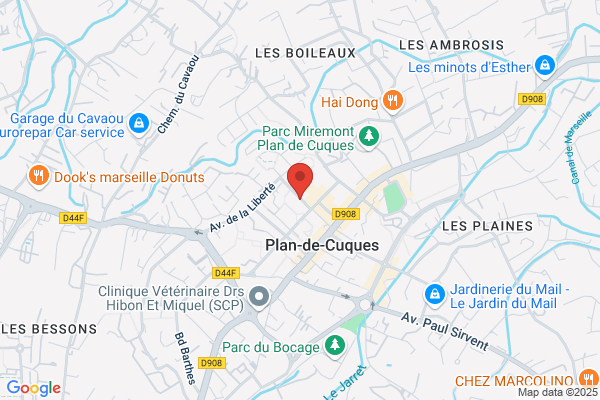 Institut Des Applications Avancees De L Internet ecole De