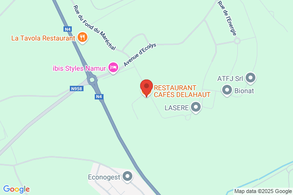 Delahaut Thierry