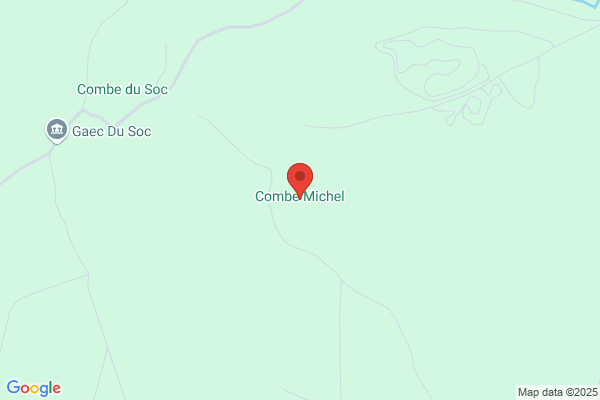Combe Michel