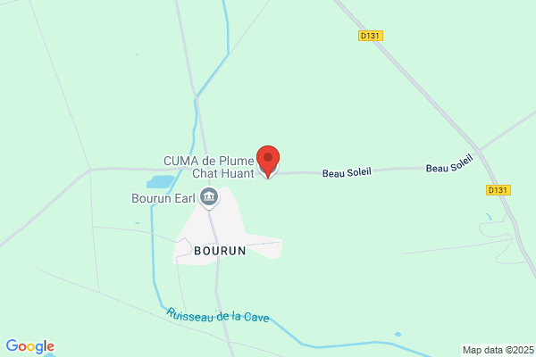 Cuma De Plume Chat Huant