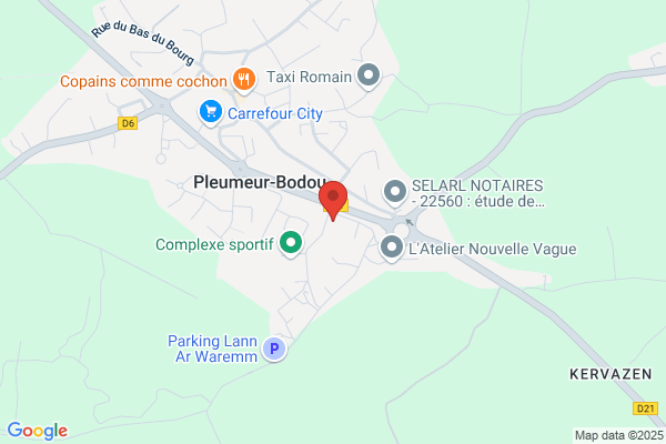 PLEUMEUR AUTO