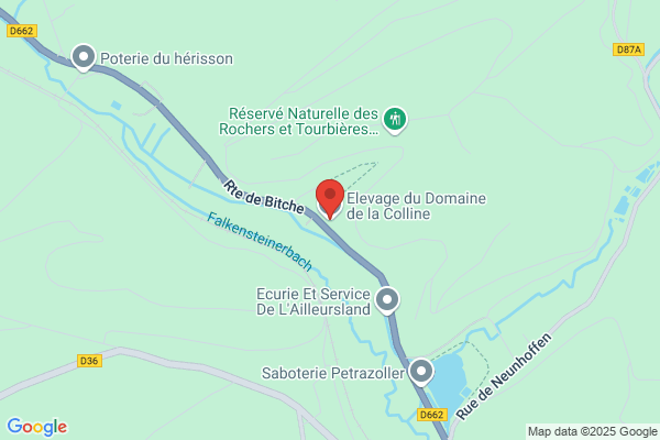 Elevage Du Domaine De La Colline