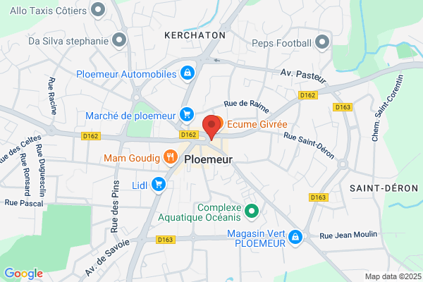 Avis Immobilier Domino Partenaire