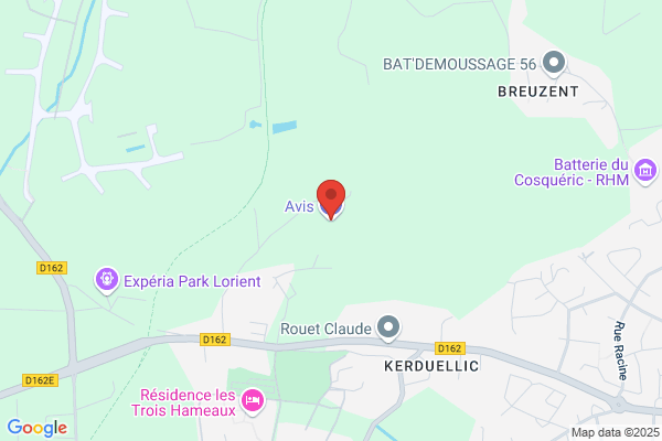 Avis Location de Voiture