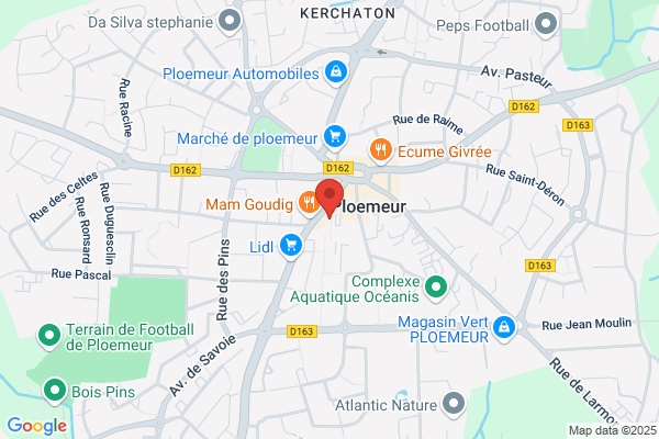 Goulon Jean Pierre Medecin