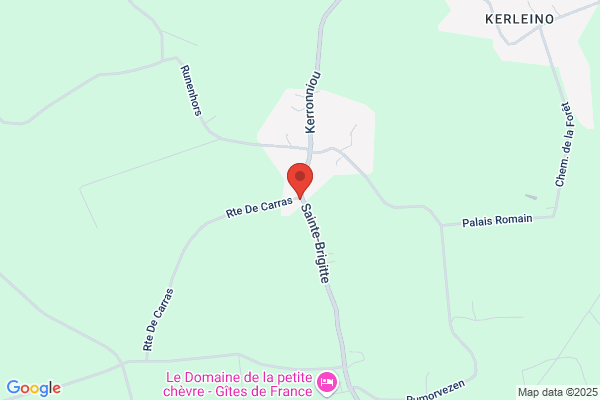Comite Des Fetes Sainte Brigitte