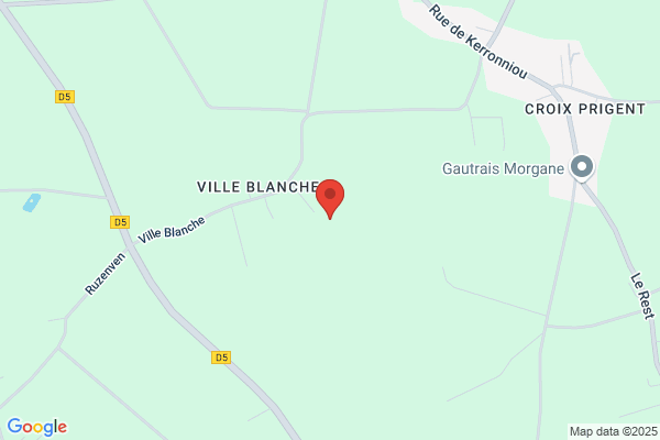 Domaine Du Four Blanc