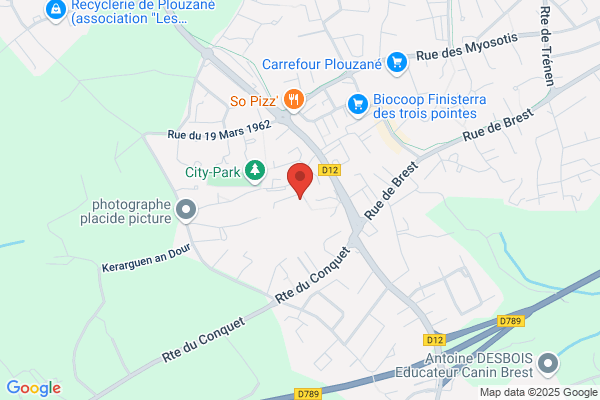Ecole Sainte Therese Direction