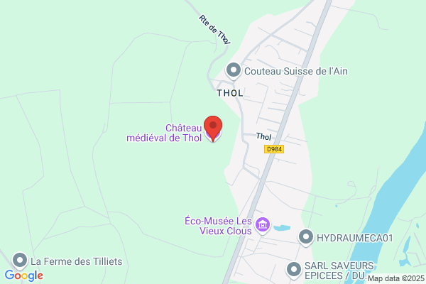 Patrimoine de Neuville sur Ain