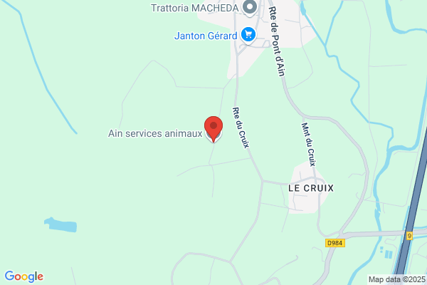 ain services animaux