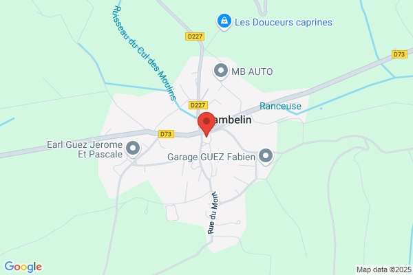 RESTAURANT DES AMIS