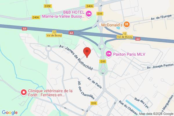 Entreprise Decoration Moderne