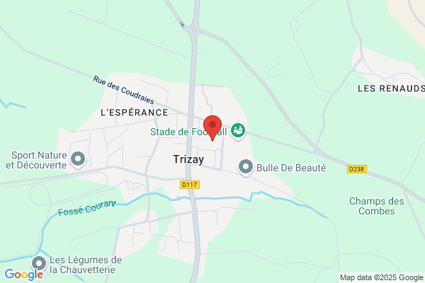 Comite Des Fetes Permanent