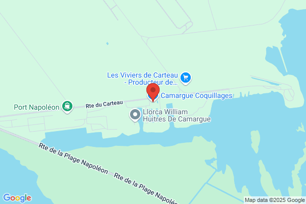 CAMARGUE COQUILLAGES