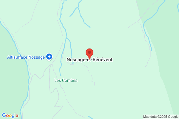Benavent Serge