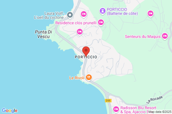 Lariciu Construction