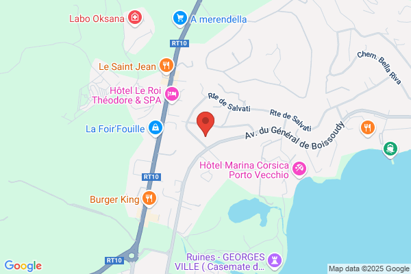Bollone Michel