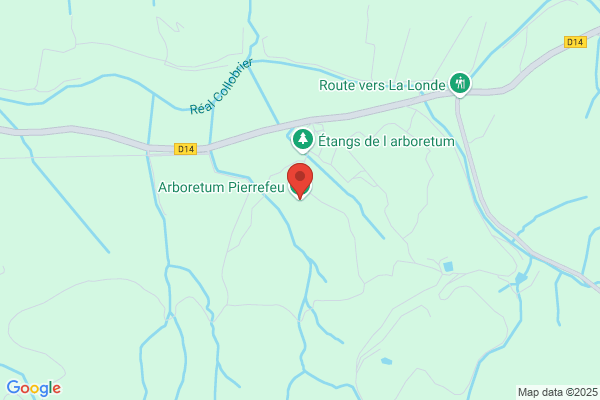 Arbres Et Collines