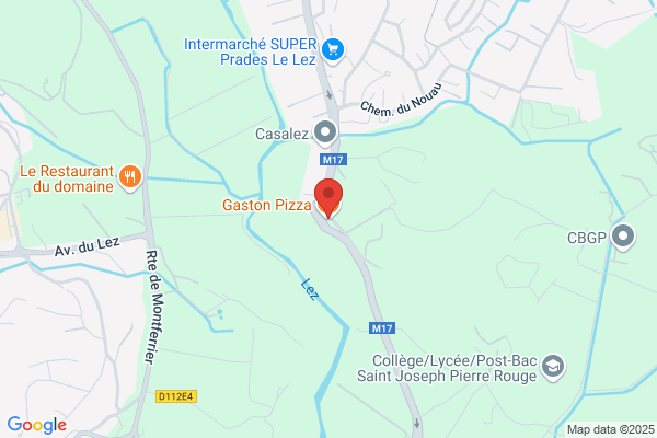 Gaston Pizza