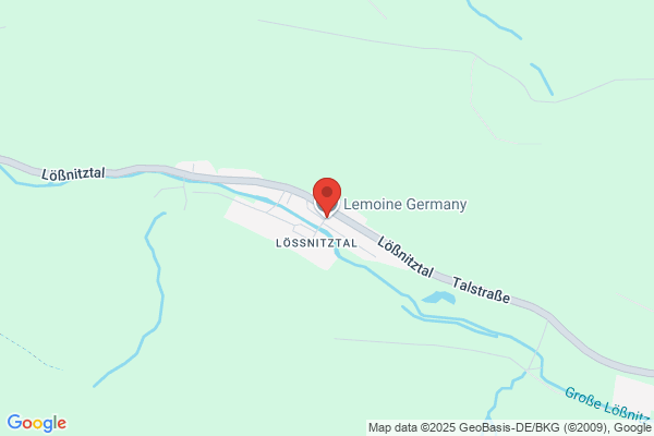 LYONNEL LEMOINE