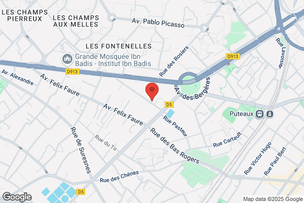 Briard Philippe Medecin