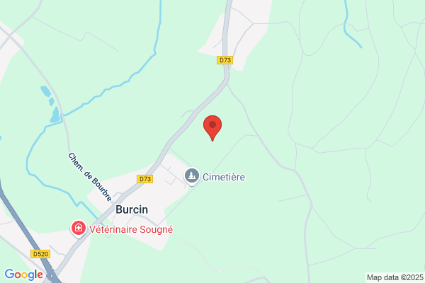 Bozon Maurice