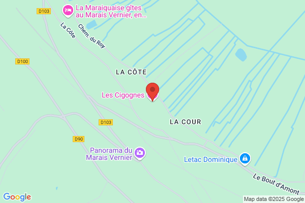 les cigognes