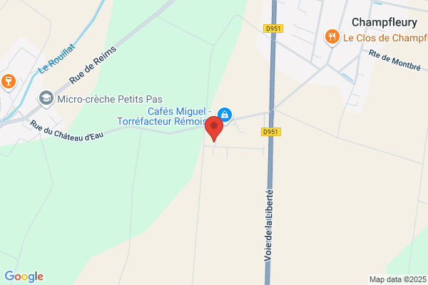 Demenageurs Champenois