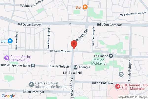 Blosne Info Services