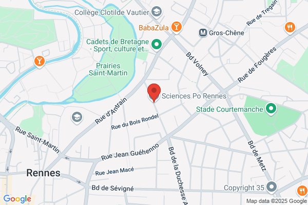 Institut D Etudes Politiques Iep