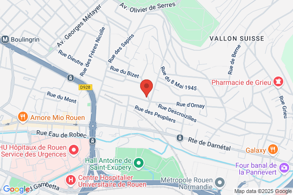 Becret Francois Medecin Standard