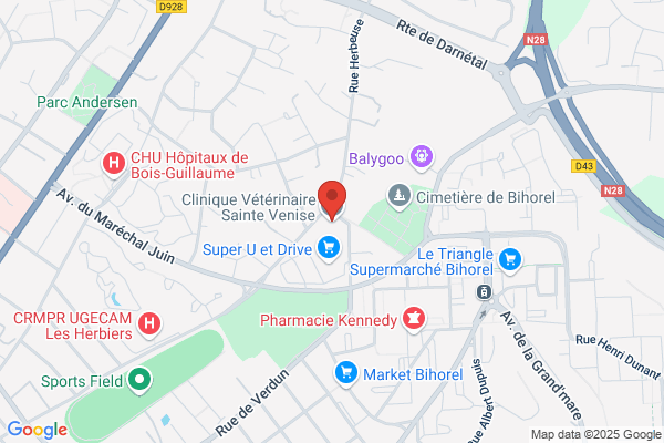 Clinique Veterinaire Saint Louis