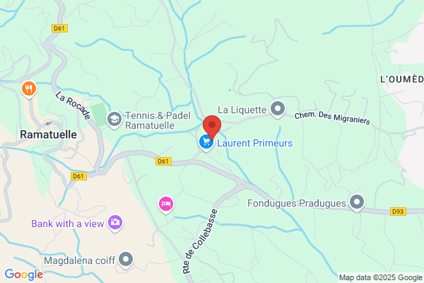 Boissier Remi