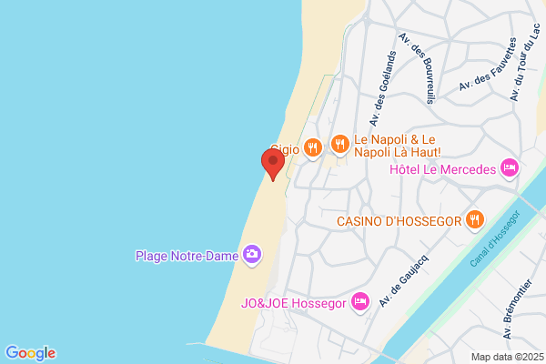 Genesis Region Sud