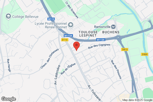 Comite Midi Pyrenees De Lutte Olympique