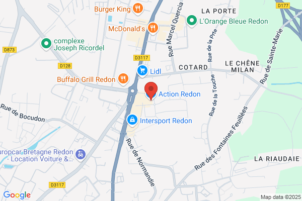 Action Redon