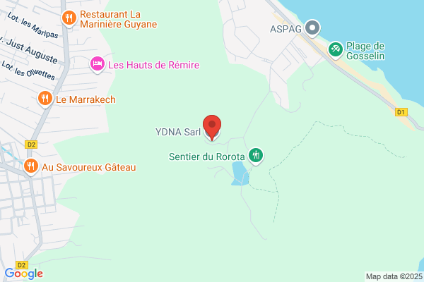 YDNA Sarl