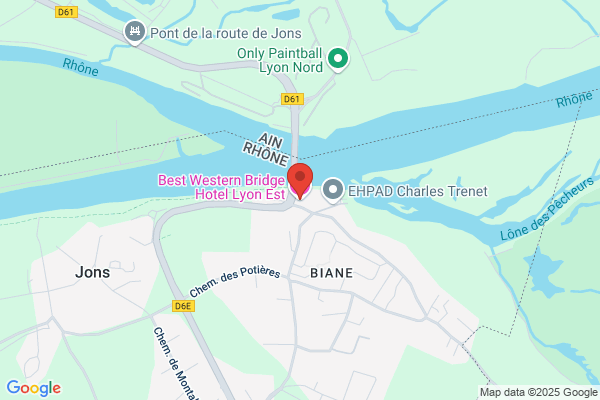 Best Western Bridge Hotel Lyon East